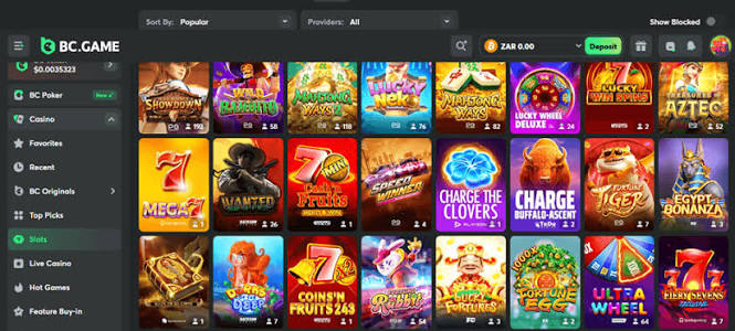 Exploring BC.Game India A Comprehensive Guide to Online Gaming
