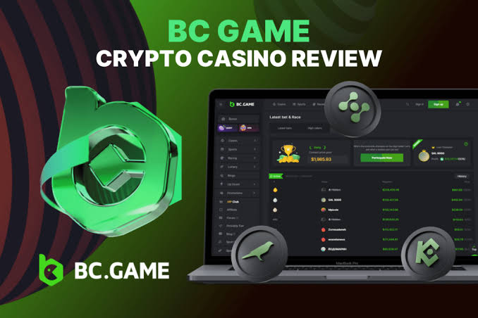 Unlock Your Potential The Ultimate Guide to BC.Game Promo Codes and Bonuses